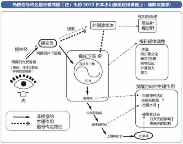 k8凯发登录 --天生赢家·一触即发