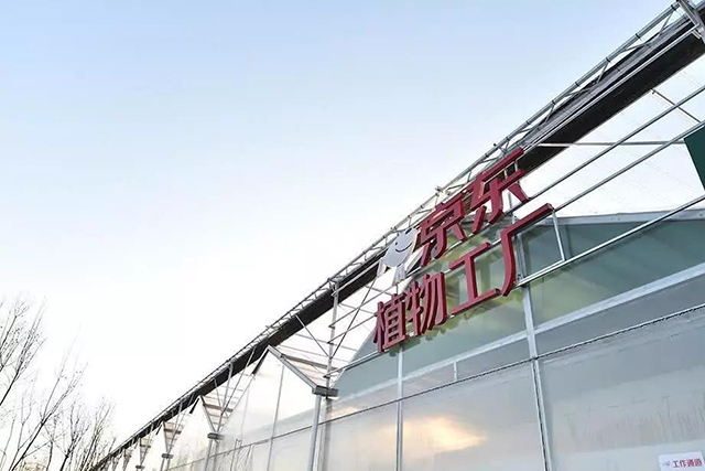 k8凯发登录 --天生赢家·一触即发