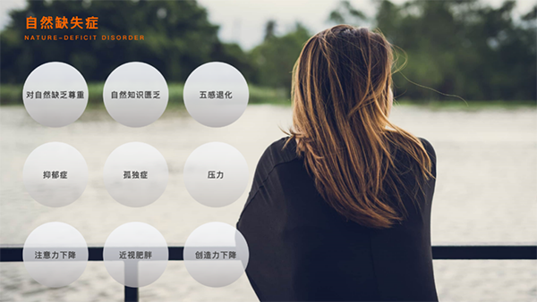k8凯发登录 --天生赢家·一触即发