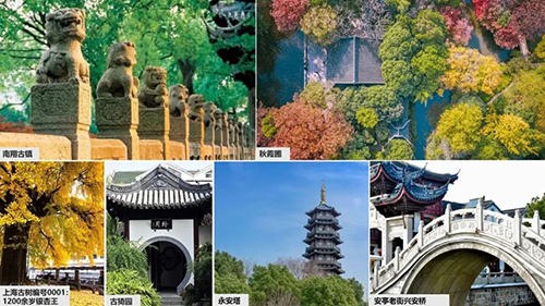 k8凯发登录 --天生赢家·一触即发